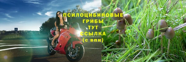 герыч Горняк
